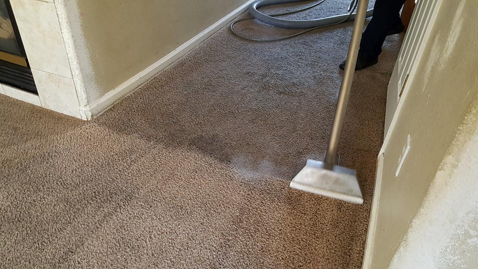 Carpet Cleaning - Clear Choice Janitorial