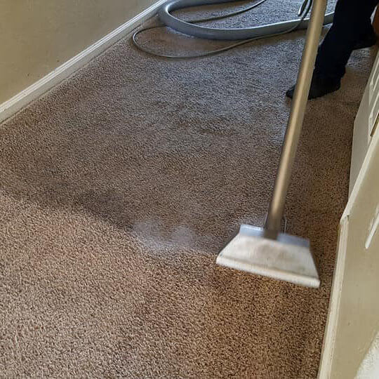 Professional deep cleaning services for carpets in homes