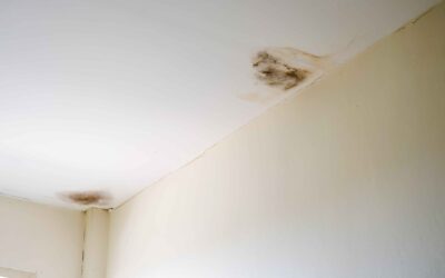Tips On How To Eliminate Mold From Your Home